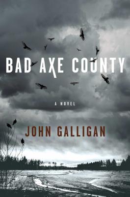 Bad Axe County, Volume 1 - John Galligan
