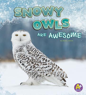 Snowy Owls Are Awesome - Jaclyn Jaycox