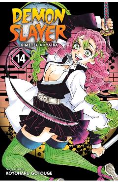 Demon Slayer: Kimetsu No Yaiba, Vol. 14, Volume 14 - Koyoharu Gotouge