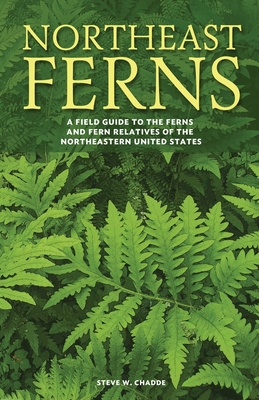 Northeast Ferns: A Field Guide to the Ferns and Fern Relatives of the Northeastern United States - Steve W. Chadde