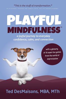 Playful Mindfulness: a joyful journey to everyday confidence, calm, and connection - Ted Desmaisons