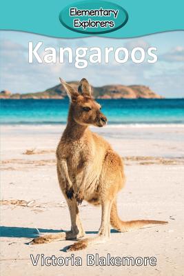 Kangaroos - Victoria Blakemore