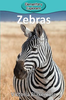 Zebras - Victoria Blakemore