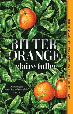 Coperta cărții 'Bitter Orange - Claire Fuller'