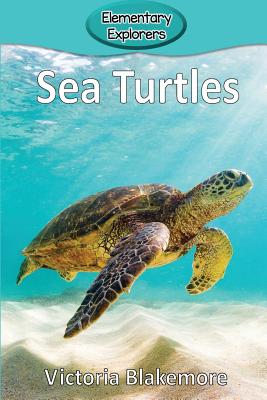 Sea Turtles - Victoria Blakemore