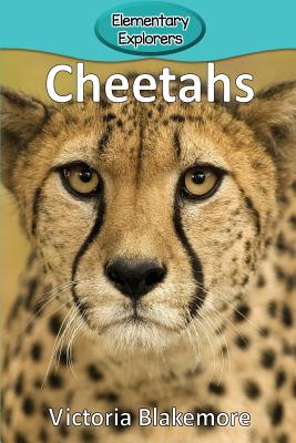 Cheetahs - Victoria Blakemore