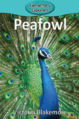Peafowl - Victoria Blakemore