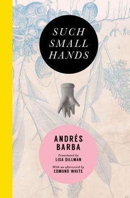 Such Small Hands - Andr�s Barba