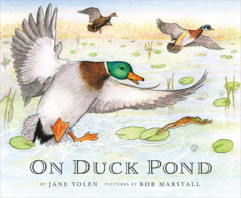 On Duck Pond - Jane Yolen