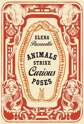 Animals Strike Curious Poses - Elena Passarello