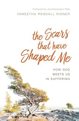 The Scars That Have Shaped Me: How God Meets Us in Suffering - Vaneetha Rendall Risner