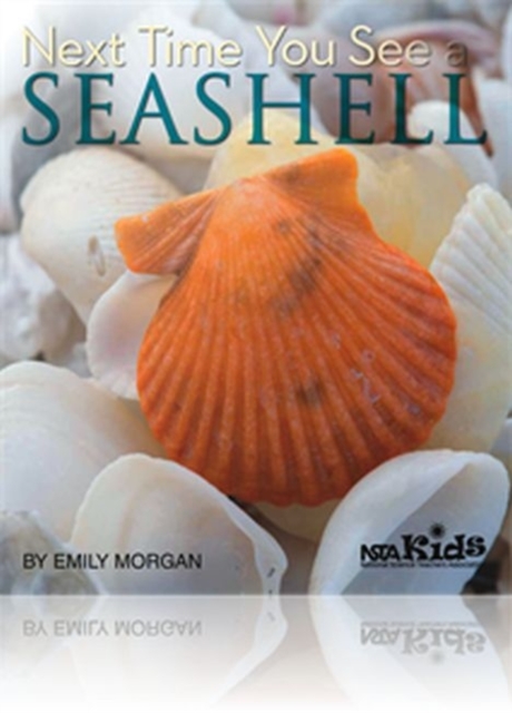 Next Time You See a Seashell - Emily Morgan