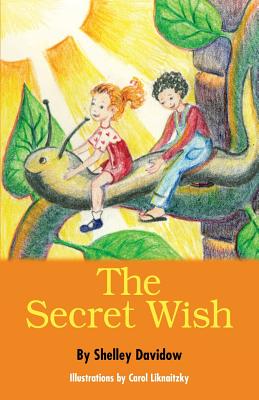 The Secret Wish - Shelley Davidow
