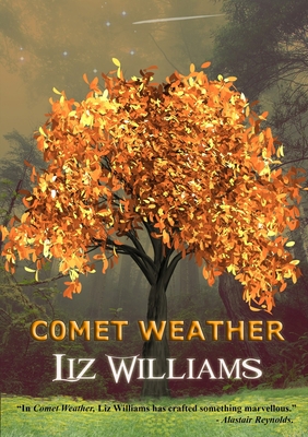 Comet Weather - Liz Williams