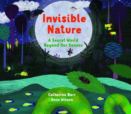 Invisible Nature: A Secret World Beyond Our Senses - Catherine Barr