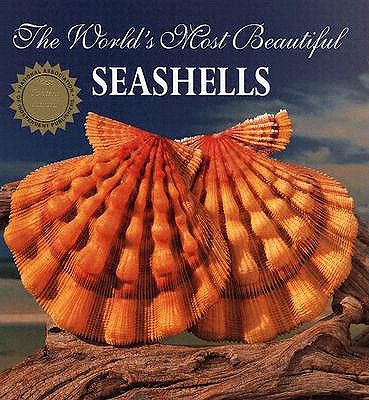 The World's Most Beautiful Seashells - Pele Carmichael
