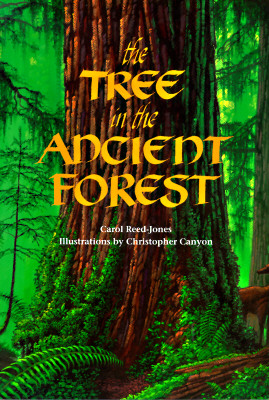 The Tree in the Ancient Forest - Carol Reed-jones