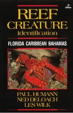 Reef Creature Identification: Florida Caribbean Bahamas - Paul Humann