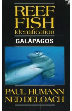 Reef Fish Identification Galapagos - Ned Deloach