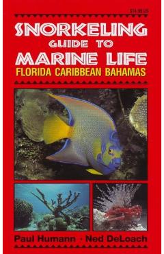 Snorkeling Guide to Marine Life Florida, Caribbean, Bahamas - Paul Humann