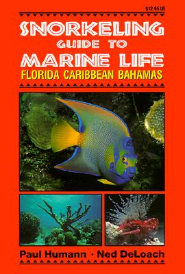 Snorkeling Guide to Marine Life Florida, Caribbean, Bahamas - Paul Humann