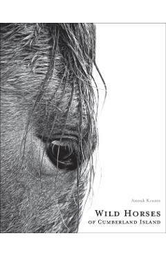 Wild Horses of Cumberland Island - Anouk Masson Krantz