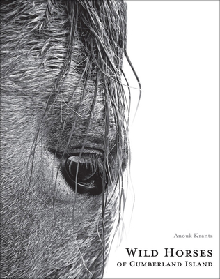 Wild Horses of Cumberland Island - Anouk Masson Krantz