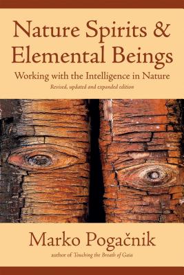 Nature Spirits & Elemental Beings: Working with the Intelligence in Nature - Marko Pogacnik