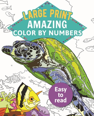 Amazing Color-By-Numbers Large Print - Arcturus Publishing