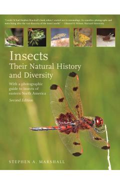 Insects: Their Natural History and Diversity: With a Photographic Guide to Insects of Eastern North America - Stephen Marshall