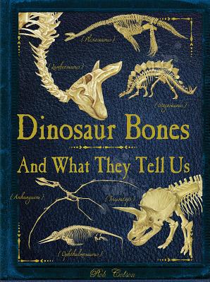 Dinosaur Bones: And What They Tell Us - Rob Colson