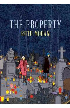 Coperta cărții 'The Property - Rutu Modan'