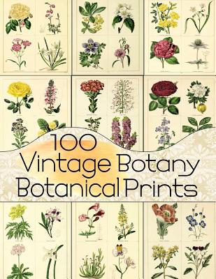 100 Vintage Botany Botanical Prints - C. Anders
