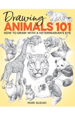 Drawing Animals 101: How to Draw with a Veterinarian's Eye - Mari Suzuki