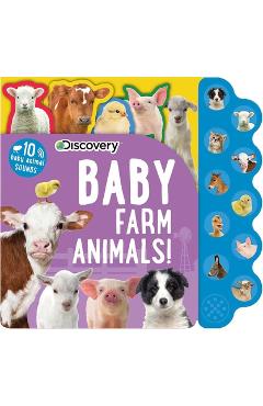 Poza produsului Discovery: Baby Farm Animals! - Thea Feldman
