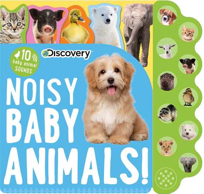 Discovery: Noisy Baby Animals! - Editors Of Silver Dolphin Books
