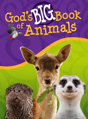 God's Big Book of Animals - Orit Kashtan