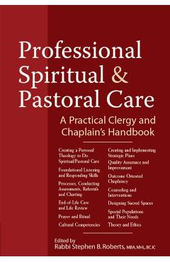 Professional Spiritual & Pastoral Care: A Practical Clergy and Chaplain's Handbook - Nancy K. Anderson