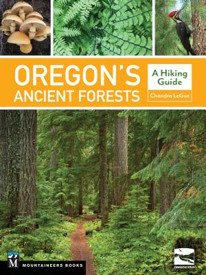Oregon's Ancient Forests: A Hiking Guide - Oregon Wild