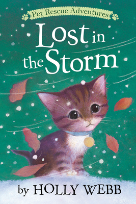 Lost in the Storm - Holly Webb