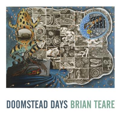 Doomstead Days - Brian Teare