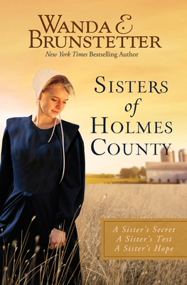 Sisters of Holmes County - Wanda E. Brunstetter