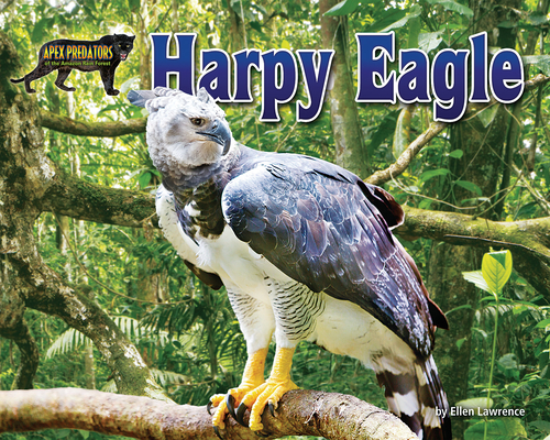 Harpy Eagle - Ellen Lawrence
