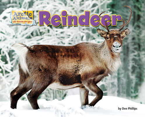 Reindeer - Dee Phillips