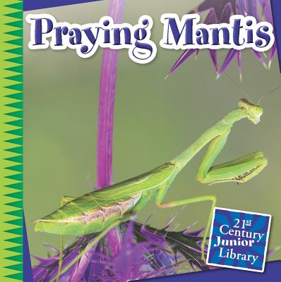 Praying Mantis - Tamra Orr