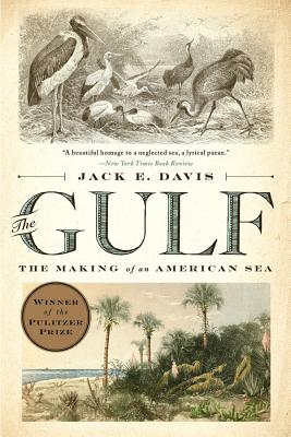 The Gulf: The Making of an American Sea - Jack E. Davis