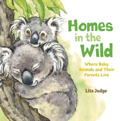 Homes in the Wild: Where Baby Animals and Their Parents Live - Lita Judge