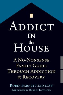 Addict in the House: A No-Nonsense Family Guide Through Addiction and Recovery - Robin Barnett