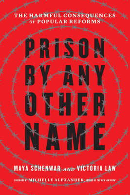 Prison by Any Other Name: The Harmful Consequences of Popular Reforms - Maya Schenwar