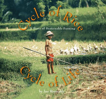 Cycle of Rice, Cycle of Life: A Story of Sustainable Farming - Jan Reynolds